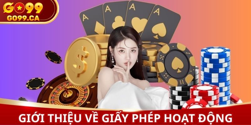 Một vài điều cơ bản về giấy phép hoạt động tại nhà cái