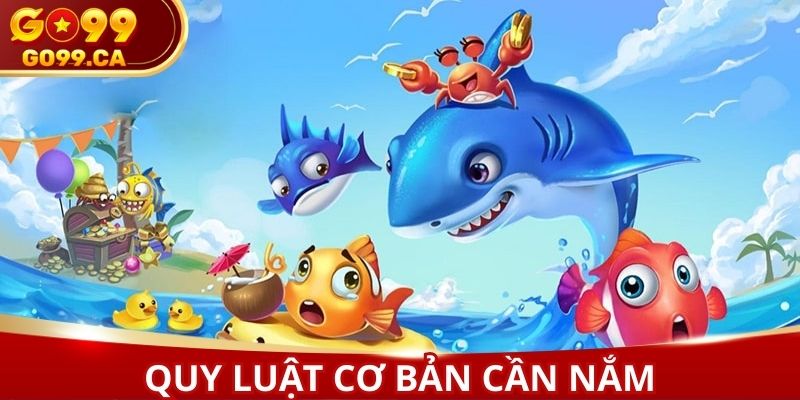 Quy luật cơ bản thành viên cần nắm khi tham gia